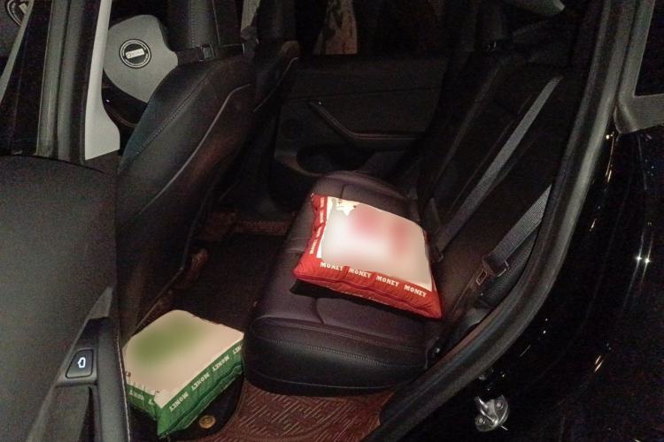 Used Tesla Model Y 2022 Rear-Wheel-Drive Version Left Rear Seat