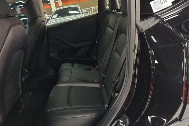 Used Tesla Model Y 2022 Revised Version Rear-Wheel Drive Left Rear Seat