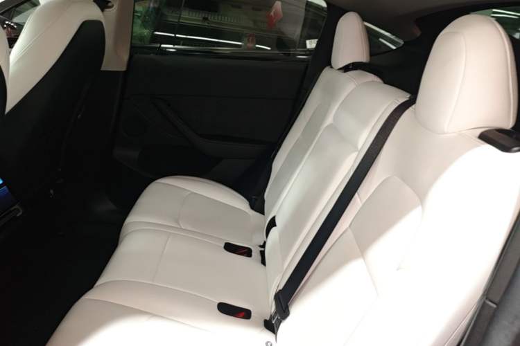 Used Tesla Model Y 2022 Revised Version Rear-Wheel Drive Left Rear Seat