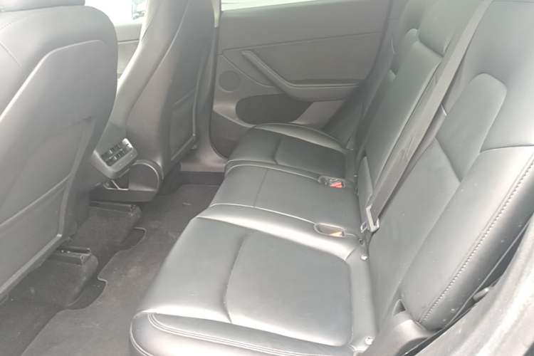 Used Tesla Model Y 2022 Revised Version Rear-Wheel Drive Left Rear Seat
