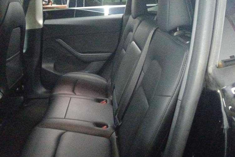 Used Tesla Model Y 2022 Revised Version Rear-Wheel Drive Left Rear Seat