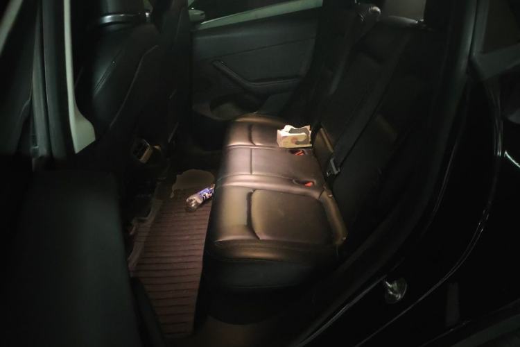 Used Tesla Model Y 2022 Long-Range All-Wheel-Drive Version Left Rear Seat