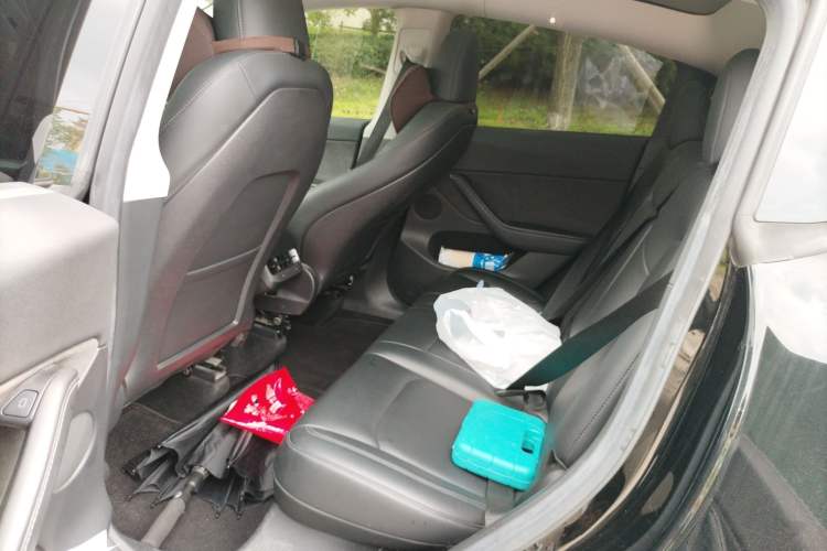 Used Tesla Model Y 2022 Rear-Wheel-Drive Version Left Rear Seat