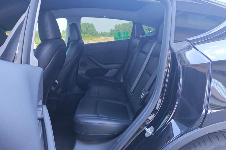 Used Tesla Model Y 2022 Revised Version Long-Range All-Wheel Drive Left Rear Seat