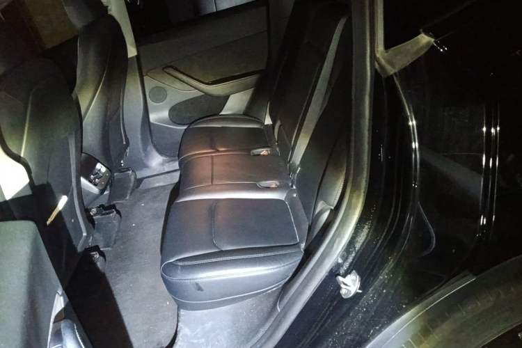 Used Tesla Model Y 2022 Revised Version Long-Range All-Wheel Drive Left Rear Seat