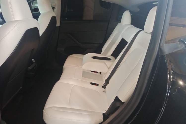 Used Tesla Model Y 2022 Revised Version Rear-Wheel Drive Left Rear Seat