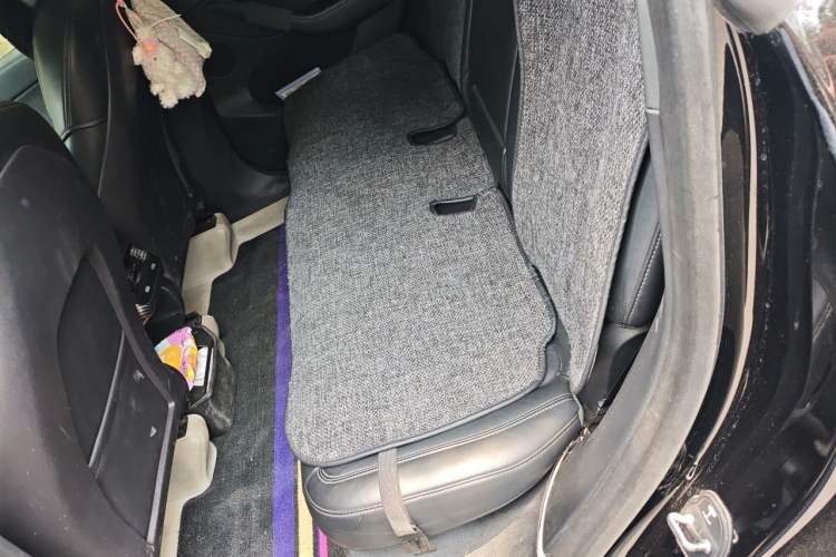 Used Tesla Model Y 2022 Rear-Wheel-Drive Version Left Rear Seat