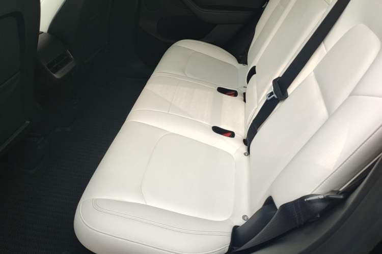 Used Tesla Model Y 2022 Long-Range All-Wheel-Drive Version Left Rear Seat