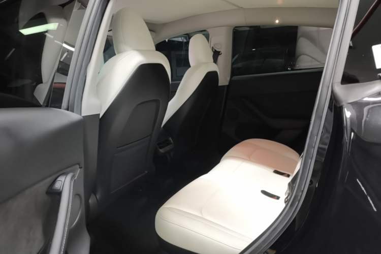 Used Tesla Model Y 2022 Performance High-Performance All-Wheel-Drive Version Left Rear Seat