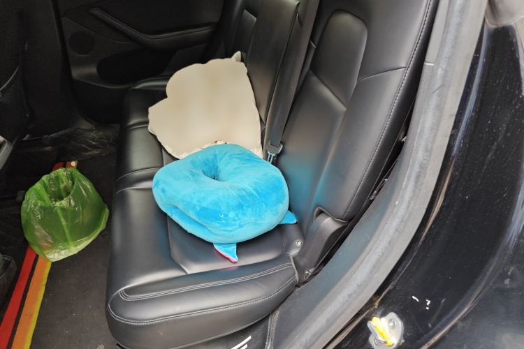 Used Tesla Model Y 2022 Rear-Wheel-Drive Version Left Rear Seat