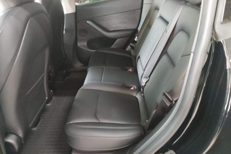 Used Tesla Model Y 2022 Revised Version Long-Range All-Wheel Drive Left Rear Seat