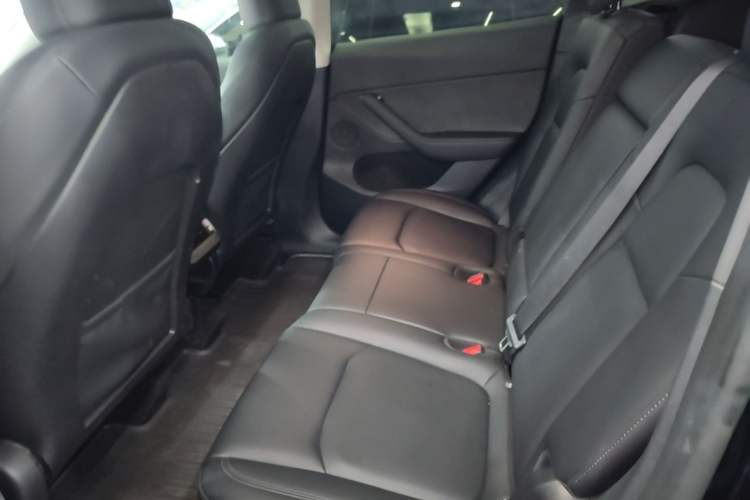 Used Tesla Model Y 2022 Revised Version Rear-Wheel Drive Left Rear Seat