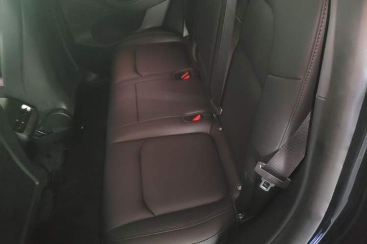 Used Tesla Model Y 2022 Rear-Wheel-Drive Version Left Rear Seat