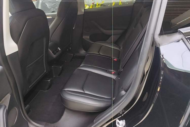 Used Tesla Model Y 2022 Revised Version Rear-Wheel Drive Left Rear Seat