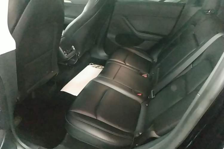 Used Tesla Model Y 2022 Revised Version Rear-Wheel Drive Left Rear Seat