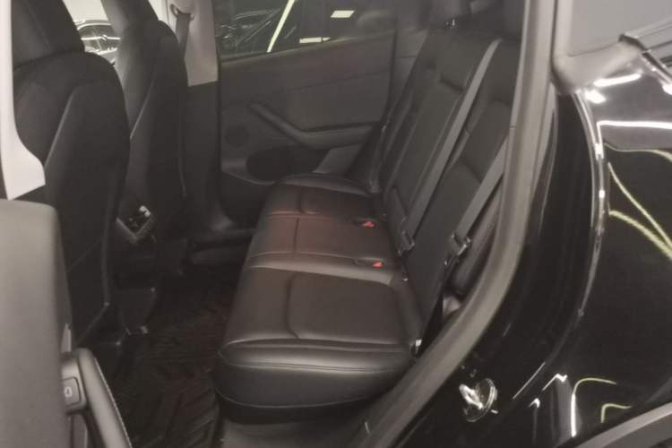 Used Tesla Model Y 2022 Long-Range All-Wheel-Drive Version Left Rear Seat