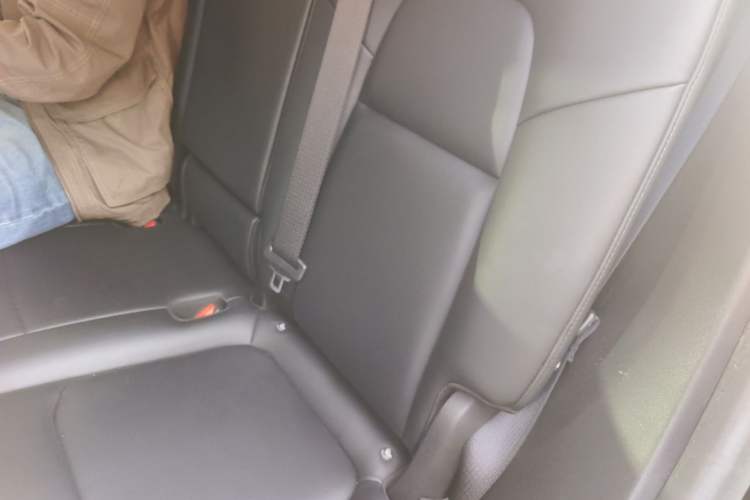 Used Tesla Model Y 2022 Rear-Wheel-Drive Version Left Rear Seat