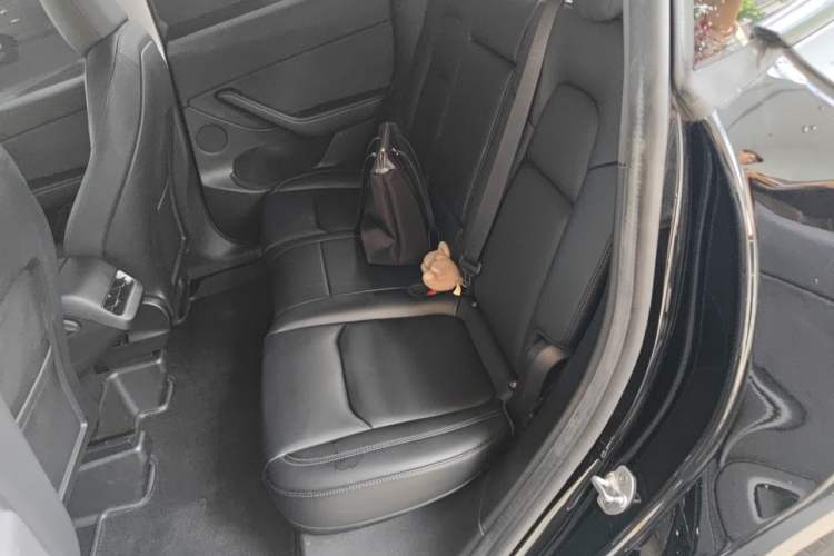 Used Tesla Model Y 2022 Revised Version Rear-Wheel Drive Left Rear Seat