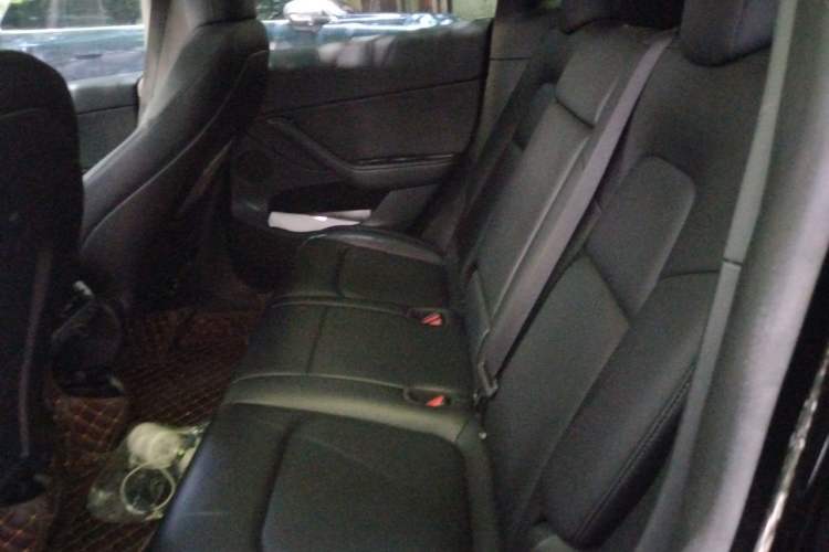 Used Tesla Model Y 2022 Revised Version Rear-Wheel Drive Left Rear Seat