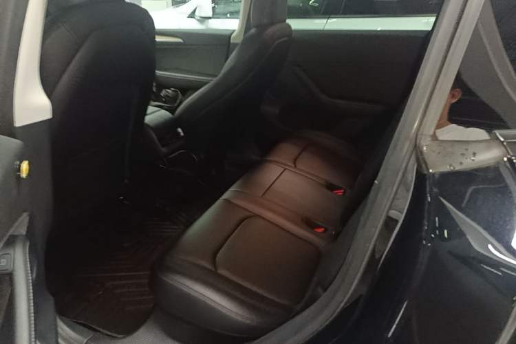 Used Tesla Model Y 2022 Rear-Wheel-Drive Version Left Rear Seat