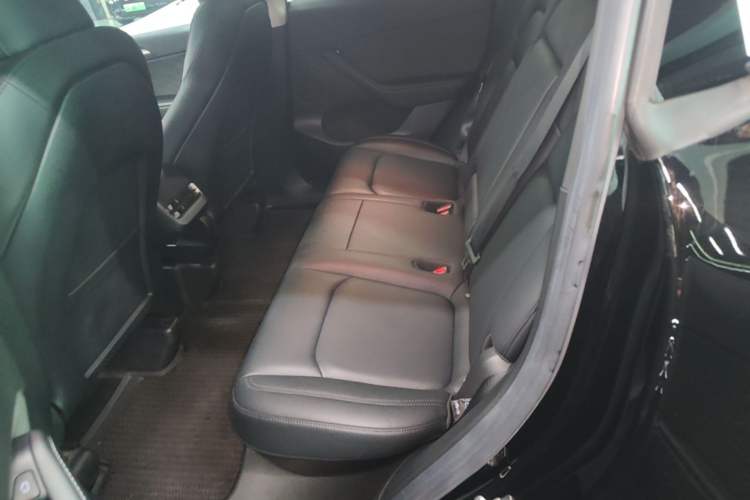 Used Tesla Model Y 2022 Rear-Wheel-Drive Version Left Rear Seat
