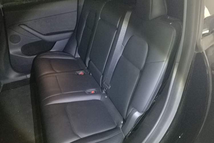 Used Tesla Model Y 2022 Rear-Wheel-Drive Version Left Rear Seat