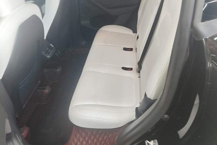 Used Tesla Model Y 2022 Rear-Wheel-Drive Version Left Rear Seat