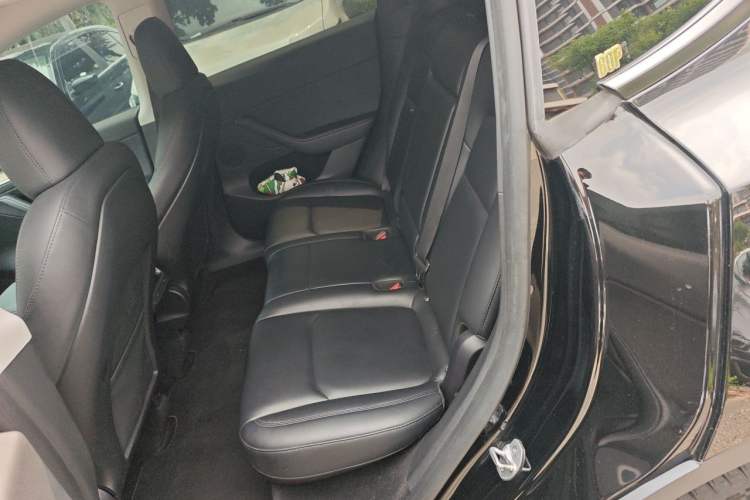 Used Tesla Model Y 2022 Revised Version Rear-Wheel Drive Left Rear Seat