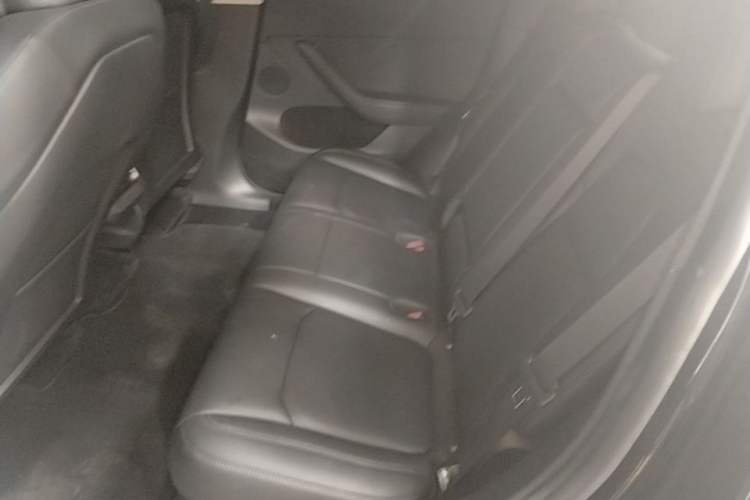 Used Tesla Model Y 2022 Rear-Wheel-Drive Version Left Rear Seat