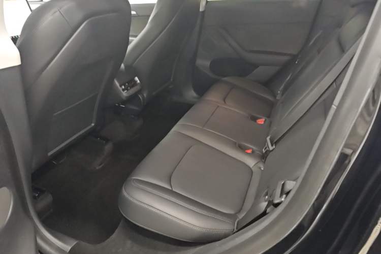 Used Tesla Model Y 2022 Rear-Wheel-Drive Version Left Rear Seat