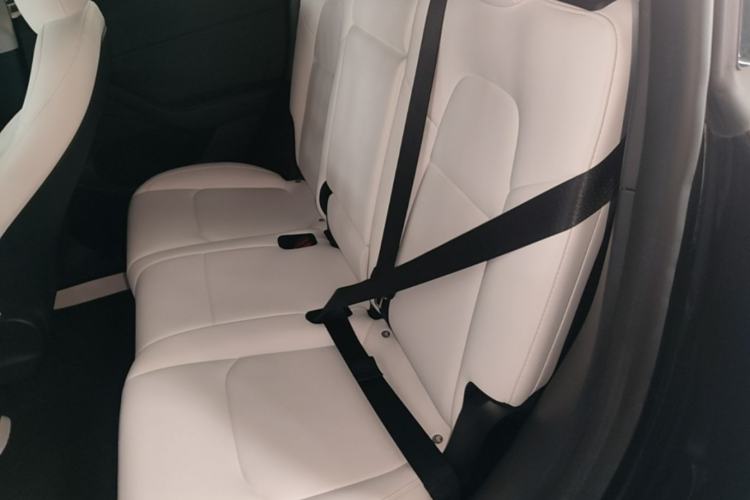 Used Tesla Model Y 2022 Revised Version Rear-Wheel Drive Left Rear Seat
