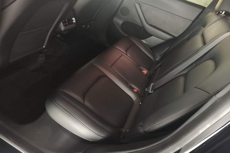 Used Tesla Model Y 2022 Rear-Wheel-Drive Version Left Rear Seat