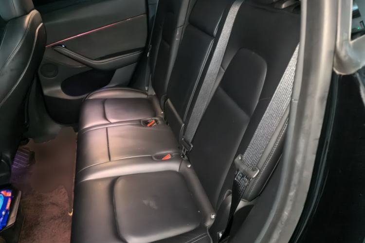 Used Tesla Model Y 2022 Rear-Wheel-Drive Version Left Rear Seat