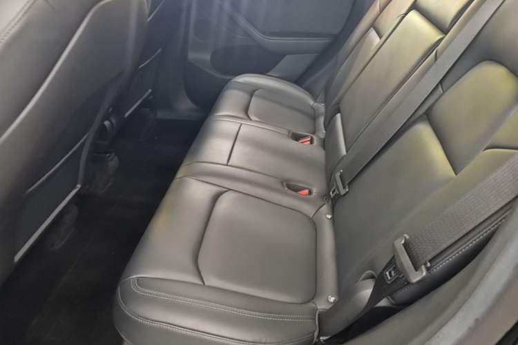 Used Tesla Model Y 2022 Rear-Wheel-Drive Version Left Rear Seat
