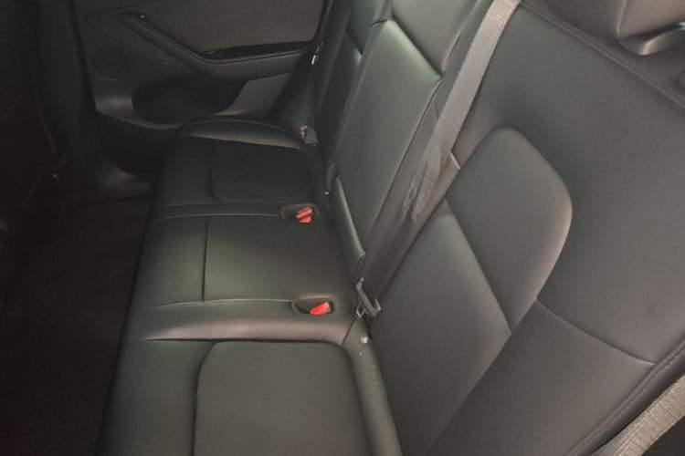 Used Tesla Model Y 2022 Rear-Wheel-Drive Version Left Rear Seat