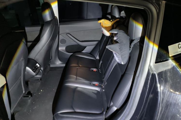 Used Tesla Model Y 2022 Rear-Wheel-Drive Version Left Rear Seat