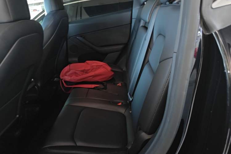 Used Tesla Model Y 2022 Rear-Wheel-Drive Version Left Rear Seat