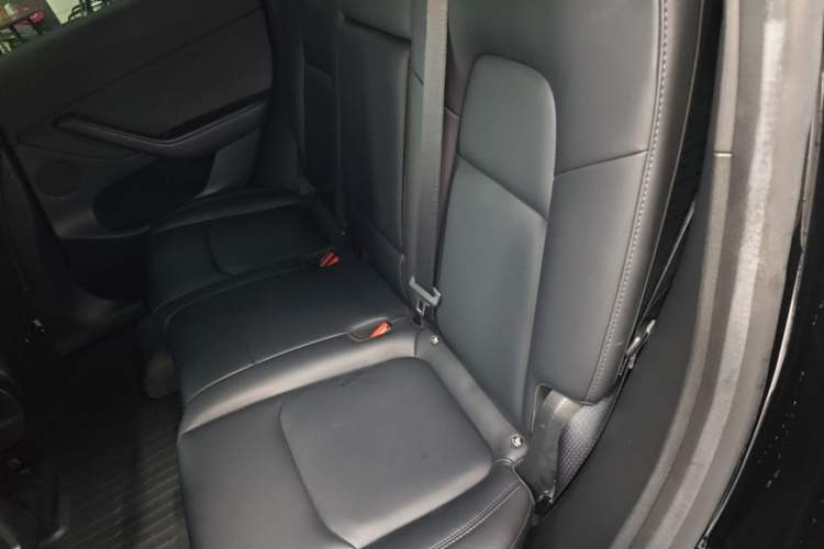 Used Tesla Model Y 2022 Revised Version Long-Range All-Wheel Drive Left Rear Seat