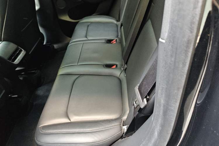 Used Tesla Model Y 2022 Rear-Wheel-Drive Version Left Rear Seat