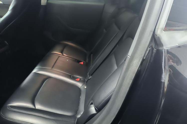 Used Tesla Model Y 2022 Rear-Wheel-Drive Version Left Rear Seat