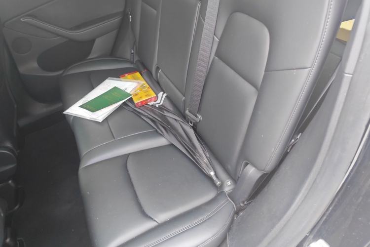 Used Tesla Model Y 2022 Revised Version Rear-Wheel Drive Left Rear Seat