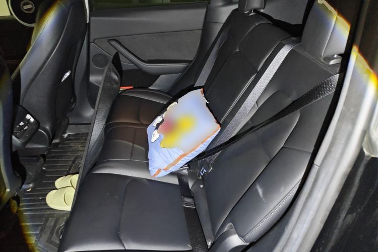 Used Tesla Model Y 2022 Revised Version Rear-Wheel Drive Left Rear Seat