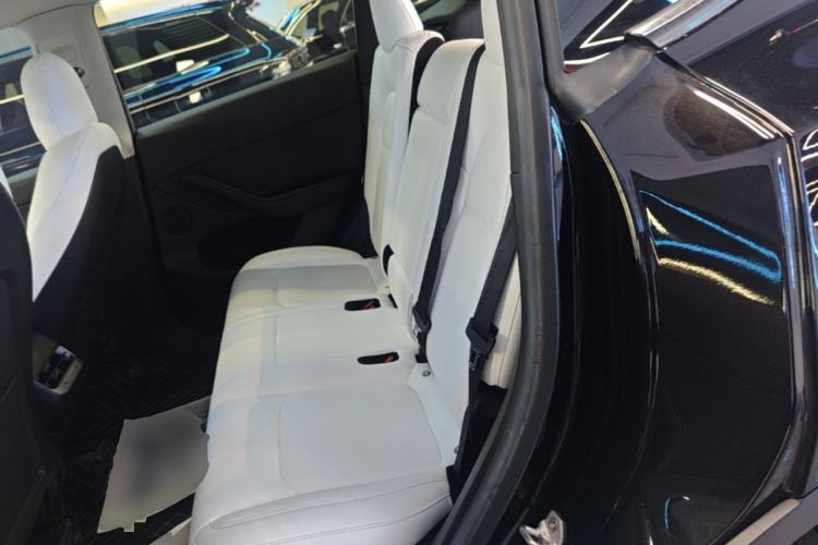 Used Tesla Model Y 2022 Long-Range All-Wheel-Drive Version Left Rear Seat