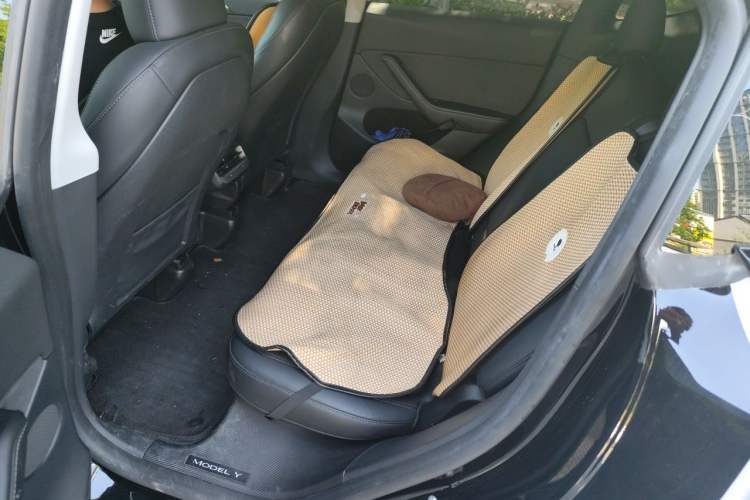 Used Tesla Model Y 2022 Revised Version Rear-Wheel Drive Left Rear Seat