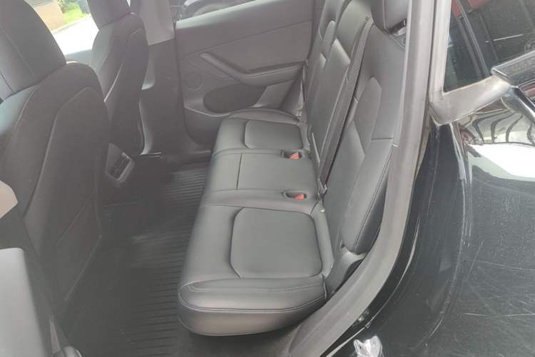 Used Tesla Model Y 2022 Rear-Wheel-Drive Version Left Rear Seat