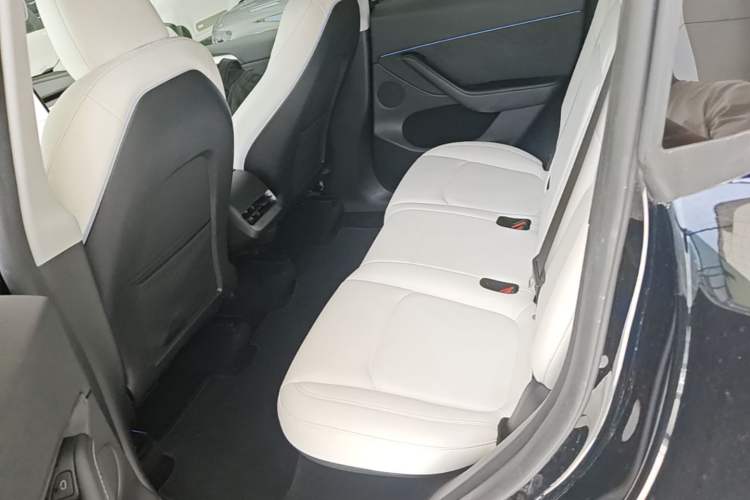 Used Tesla Model Y 2022 Revised Version Rear-Wheel Drive Left Rear Seat