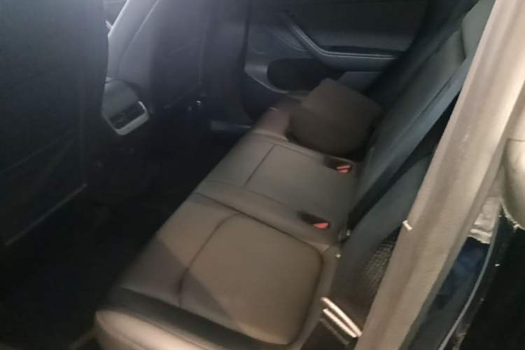 Used Tesla Model Y 2022 Long-Range All-Wheel-Drive Version Left Rear Seat