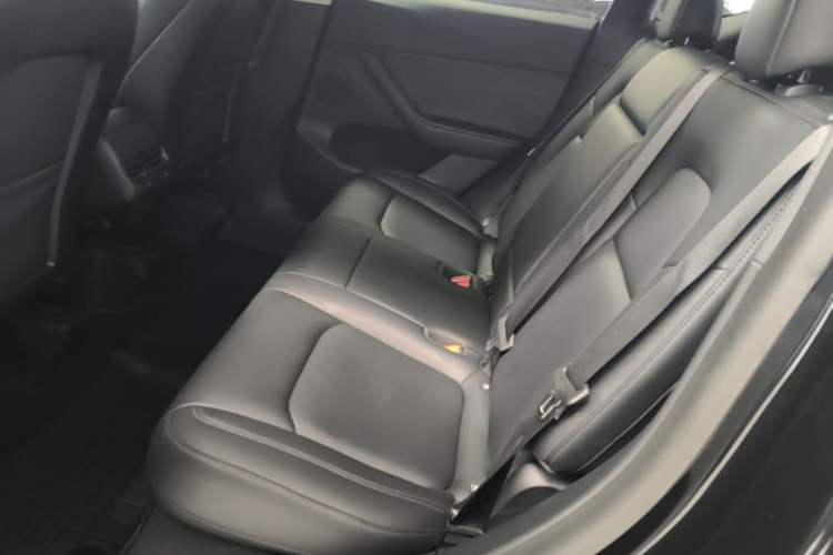 Used Tesla Model Y 2022 Long-Range All-Wheel-Drive Version Left Rear Seat