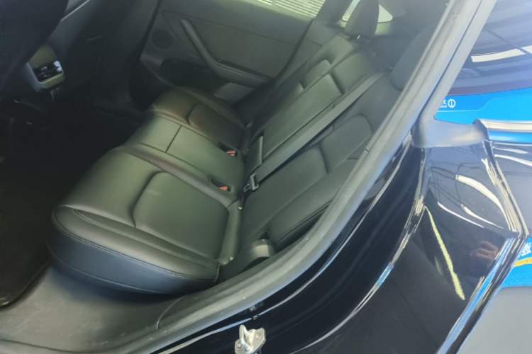 Used Tesla Model Y 2022 Performance High-Performance All-Wheel-Drive Version Left Rear Seat