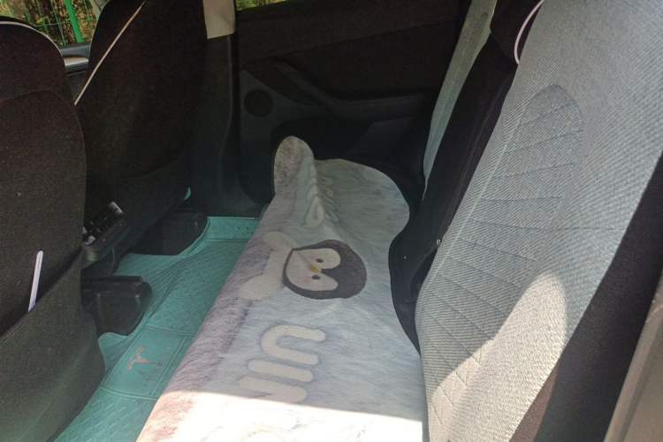 Used Tesla Model Y 2022 Rear-Wheel-Drive Version Left Rear Seat